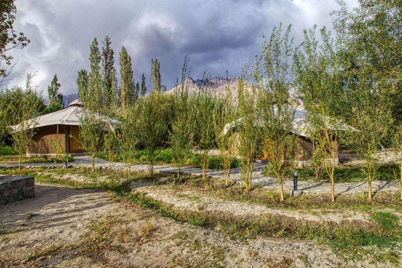 Chalet Seabuckthorn - Hunder Hundar Buitenkant foto